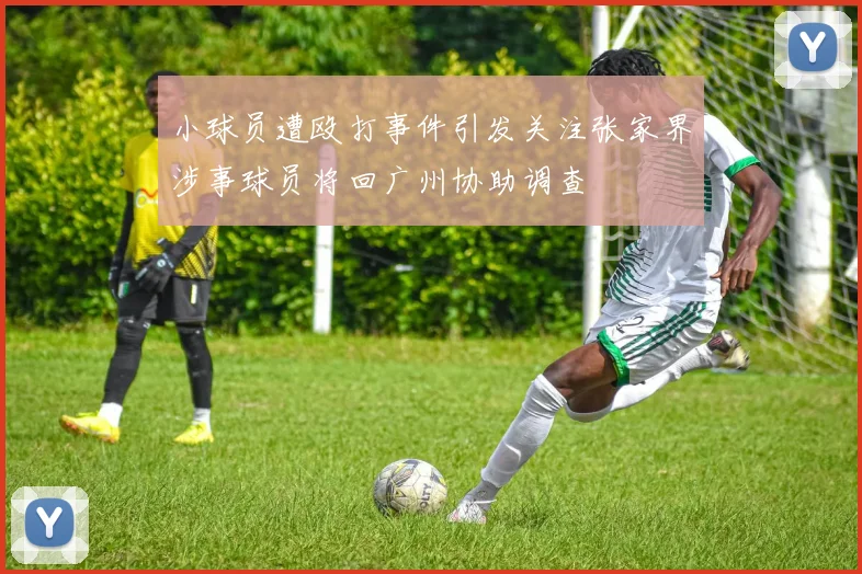 小球员遭殴打事件引发关注张家界涉事球员将回广州协助调查