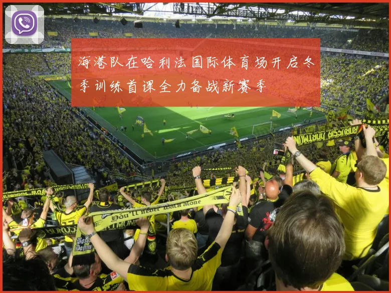海港队在哈利法国际体育场开启冬季训练首课全力备战新赛季
