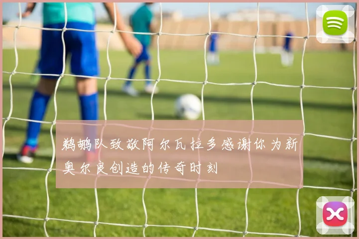 鹈鹕队致敬阿尔瓦拉多感谢你为新奥尔良创造的传奇时刻